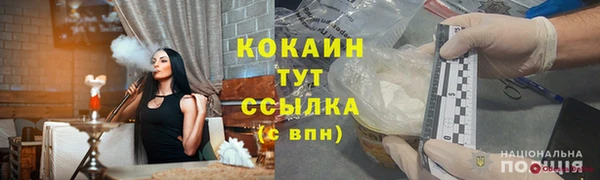 трава Абаза