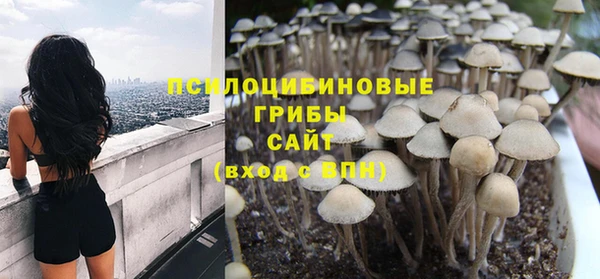 трава Абаза