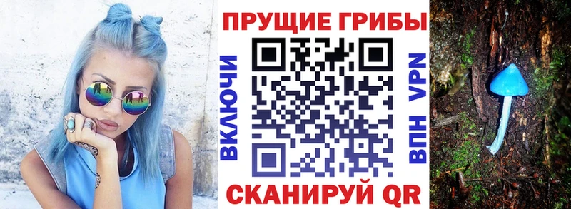 Галлюциногенные грибы мицелий  Камень-на-Оби 