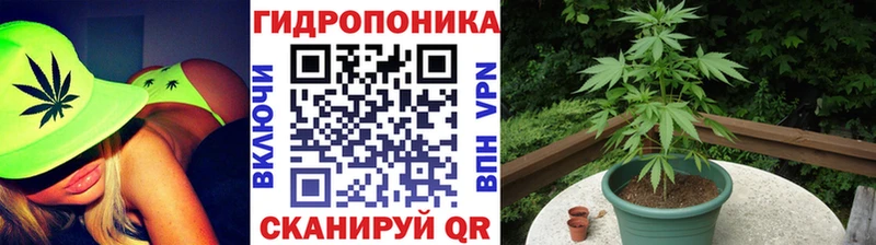 Марихуана планчик  Камень-на-Оби 